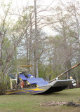 frogro032710_0051.jpg