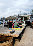 frogro032710_0113.jpg