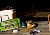 frogro032710_0141.jpg