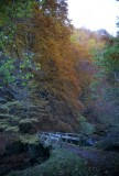 un pont sur lIsard