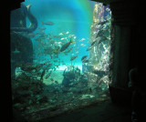 Atlantis Marine World