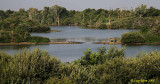 Oostvoorne -  Breede Water