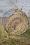 Net at lake Vortsjarv ribika mrea_MG_11221-11.jpg