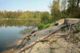 Gravel pit gramoznica Krapje_MG_7552-111.jpg