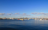 Melbourne view from Williamston.jpg