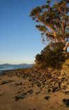 Swansea Beach at Sunset.jpg