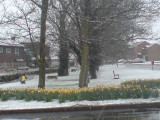 daffs