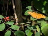 JS053531.jpg