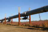 Alaska pipeline