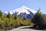 Volcano Mt. Osorno