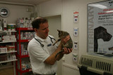 Our Veterinary , Jrg Bewig