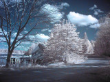 burntcovefalsecolor4.jpg