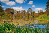 Reeds, lake & folly, Kingston Maurwood