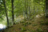 Cantal 2008
