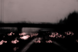 Going to work