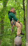 _NW05733 Climber Ascending Nest Tree