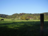 neighboring farm 1.JPG
