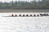 IMG_0080.jpg