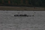 IMG_0371.jpg
