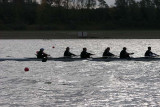 IMG_0385.jpg