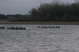 IMG_0429.jpg