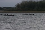 IMG_0431.jpg