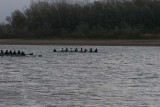 IMG_0435.jpg