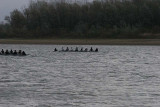 IMG_0436.jpg