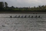 IMG_0442.jpg