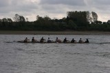 IMG_0500.jpg