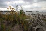 IMG_9645.jpg