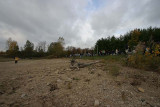 IMG_9650.jpg