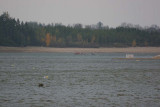 IMG_9709.jpg