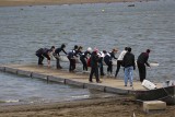 IMG_9736.jpg