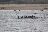 IMG_9798.jpg