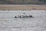 IMG_9800.jpg