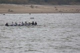 IMG_9801.jpg