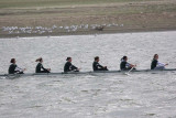 IMG_9808.jpg
