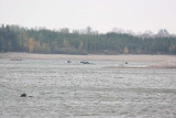 IMG_9819.jpg