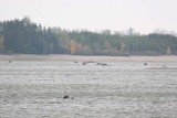 IMG_9822.jpg