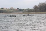 IMG_9912.jpg