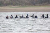IMG_9913.jpg