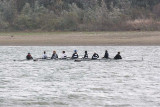 IMG_9918.jpg