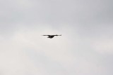 IMG_9992.jpg