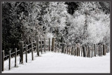 Frost Fence
