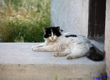 Chillin on the porch