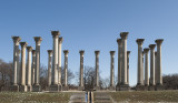 National Arboretum, US Capitol columns