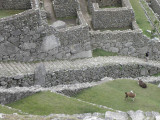 The Perimeter Wall and the Dry Moat