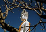 Statue, Ajuthaya