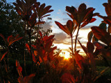 31_Oct_07a.jpg